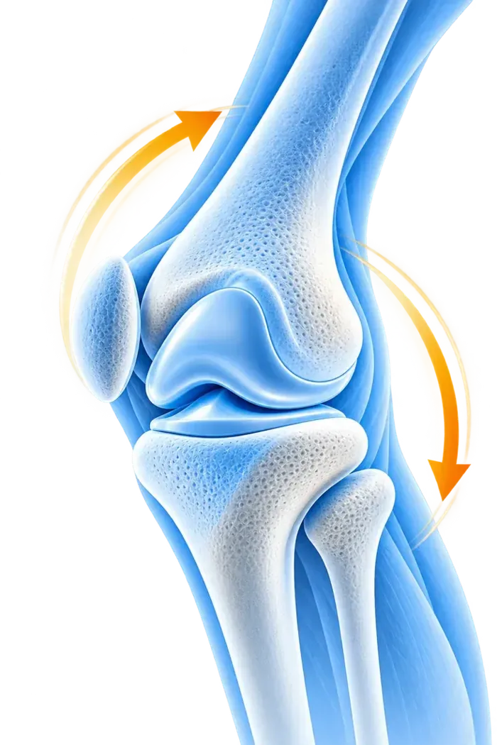 Faster Recovery Knee Joint